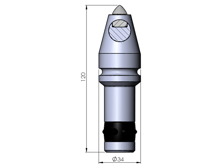 C31